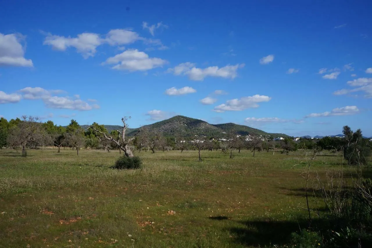 Frigola. Ibiza Villa 9Pax Sant Josep de sa Talaia Spain