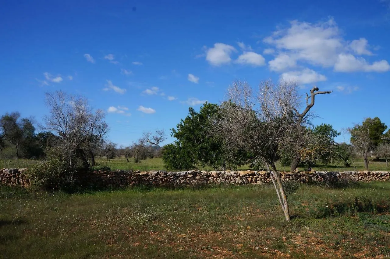 Frigola. Ibiza Villa 9Pax Sant Josep de sa Talaia Spain